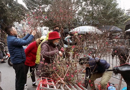 Giá cả thị trường sáng 30 Tết: Giá hoa tươi cao, quất hạ sâu