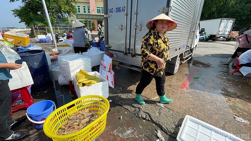 Quảng Ninh: Tất bật bến cá Mũi Ngọc phiên biển cuối năm