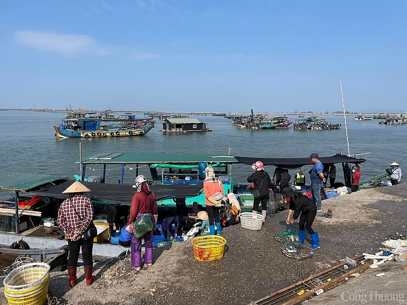 Quảng Ninh: Tất bật bến cá Mũi Ngọc phiên biển cuối năm