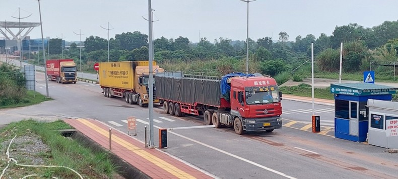 Bảo đảm các biện pháp chống dịch, thúc đẩy hoạt động xuất, nhập khẩu hàng hóa tại Móng Cái ảnh 1