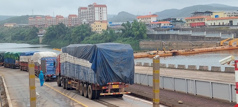 Bảo đảm các biện pháp chống dịch, thúc đẩy hoạt động xuất, nhập khẩu hàng hóa tại Móng Cái ảnh 2