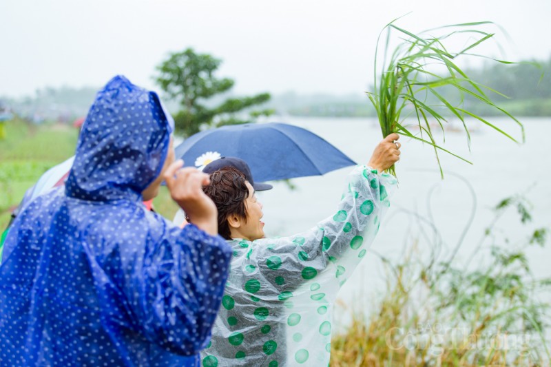 Quảng Nam: Sôi nổi lễ hội đua thuyền đầu xuân Quảng Nam: Sôi nổi lễ hội đua thuyền đầu xuân