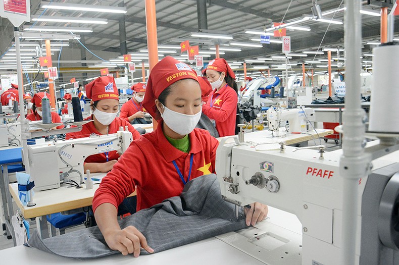 Tận dụng cơ hội và dư địa từ EVFTA ảnh 1