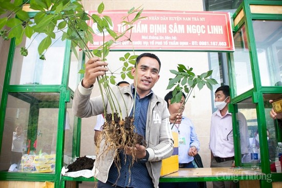 quang nam du kien to chuc le hoi sam cap quoc gia lan thu 1 nam 2023