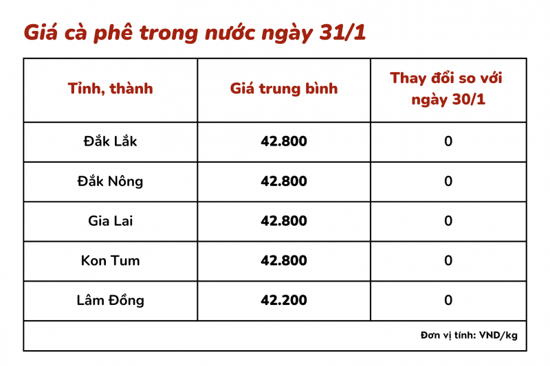 Giá cà phê hôm nay, 31/1: Giá cà phê trong nước ổn định