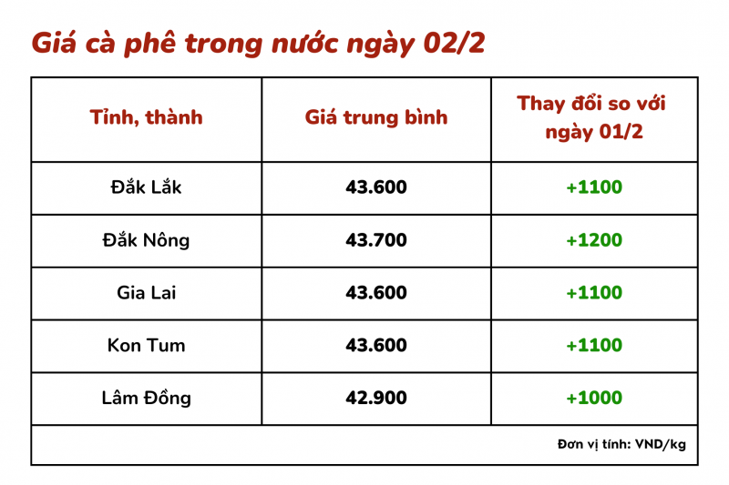 Giá cà phê hôm nay, 02/2: Giá cà phê trong nước tăng mạnh hơn 1.000 đồng/kg