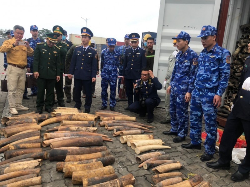 Khen thưởng thành tích 5 đơn vị vì bắt giữ ngà voi nhập khẩu trái phép từ châu Phi