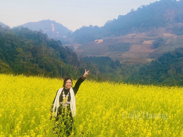 Chiêm ngưỡng mùa hoa cải vàng Hồng Thái