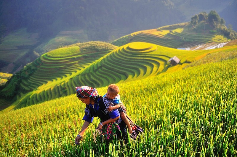 Mù Cang Chải, Vịnh Hạ Long được chọn là điểm đến sắc màu nhất của thế giới