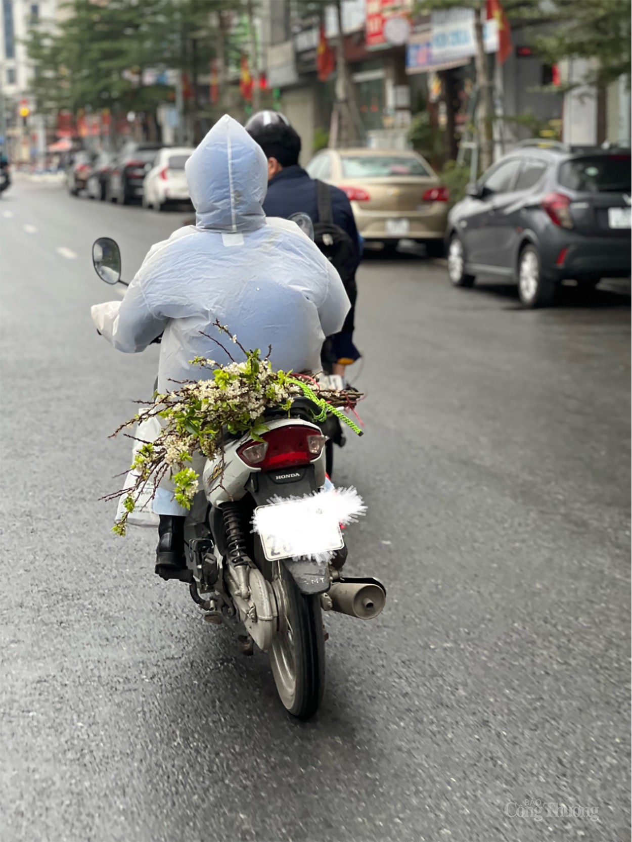 Hoa vùng Tây Bắc thu hút khách Thủ đô chơi sau Tết Nguyên Đán Hoa vùng Tây Bắc thu hút khách Thủ đô chơi sau Tết Nguyên Đán