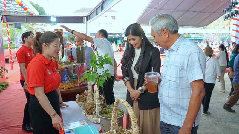 Kon Tum: Hội thi sâm Ngọc linh lần thứ nhất, nơi hội tụ những củ sâm quý