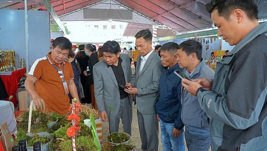 kon tum to chuc hoi thi sam ngoc linh lan thu nhat