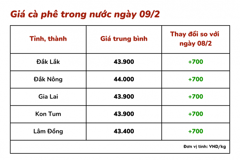 Giá cà phê hôm nay 9/2: Giá cà phê trong nước chạm mốc 44.000 đồng/kg