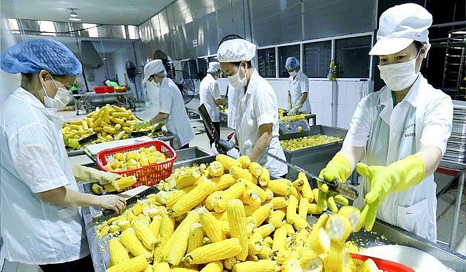 Xuất khẩu nông nghiệp: Khởi sắc từ thị trường lớn