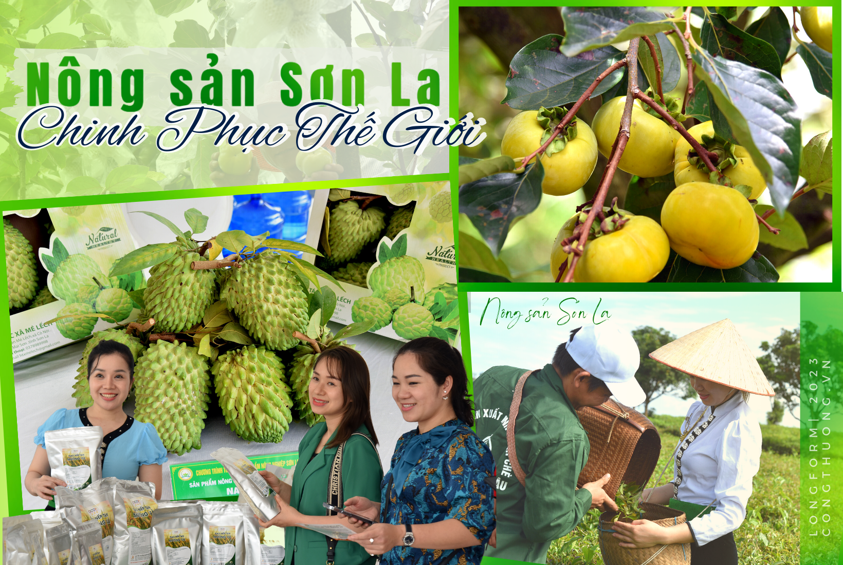 longform nong san son la chinh phuc the gioi