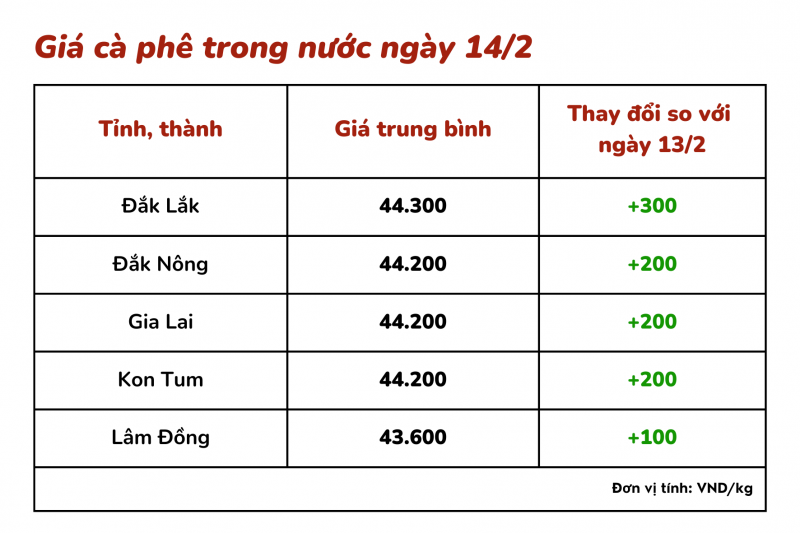 Giá cà phê hôm nay, 14/2: Cà phê trong nước tiếp tục tăng