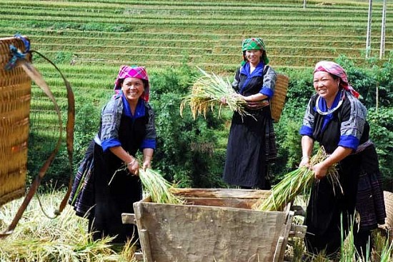 chinh sach giam ngheo o viet nam nhung con so nhieu y nghia
