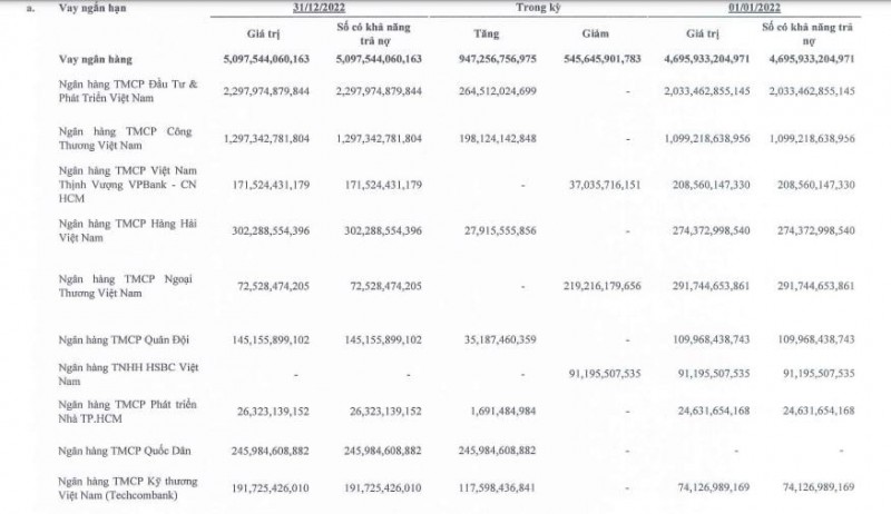 Ai là chủ khoản nợ hơn 6.000 tỷ đồng tại Xây dựng Hòa Bình?