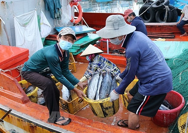 khai thác hải sản