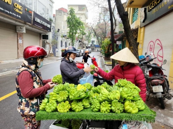 thoi tiet ngay 1722023 mien bac troi am dan len sap don mua giong