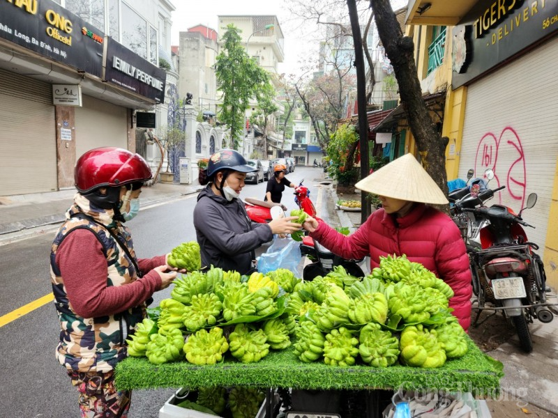 Thời tiết ngày 17/2/2023: Miền Bắc trời ấm dần lên, sắp đón mưa giông