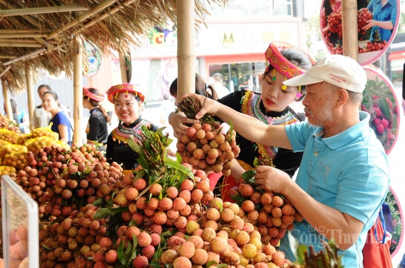 Bắc Giang: Nâng tầm thương hiệu nông sản nhờ Chương trình OCOP - Bài 1: Điểm sáng từ Chương trình OCOP