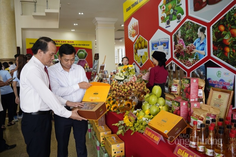 Bắc Giang: Nâng tầm thương hiệu nông sản nhờ Chương trình OCOP - Bài 2: Nâng cao hiệu quả chương trình OCOP