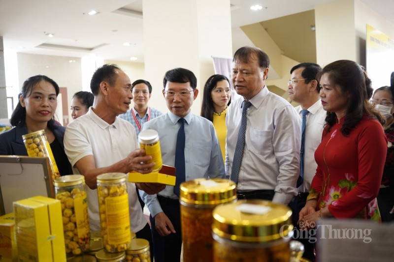 Bắc Giang: Nâng tầm thương hiệu nông sản nhờ Chương trình OCOP - Bài 2: Nâng cao hiệu quả chương trình OCOP
