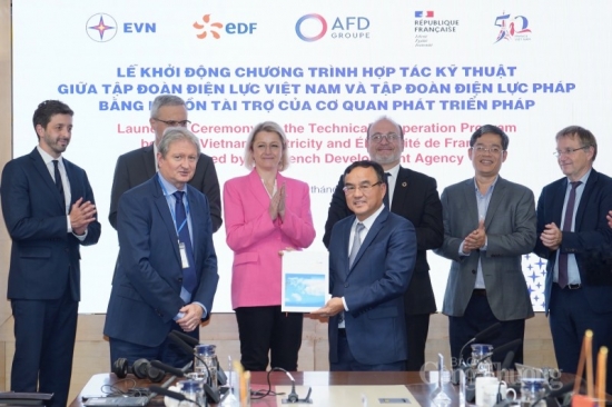 Tổng giám đốc AFD thăm và làm việc với Tập đoàn Điện lực Việt Nam