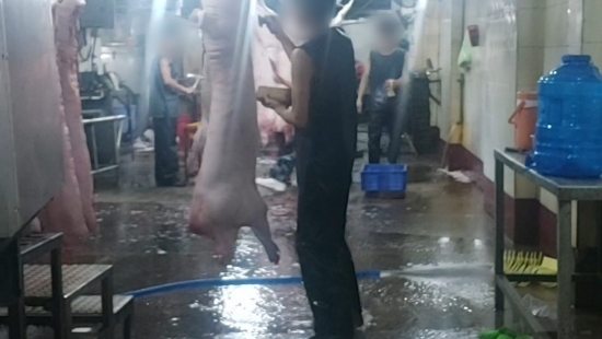 Dối trá trong kiểm soát giết mổ heo ở Long An