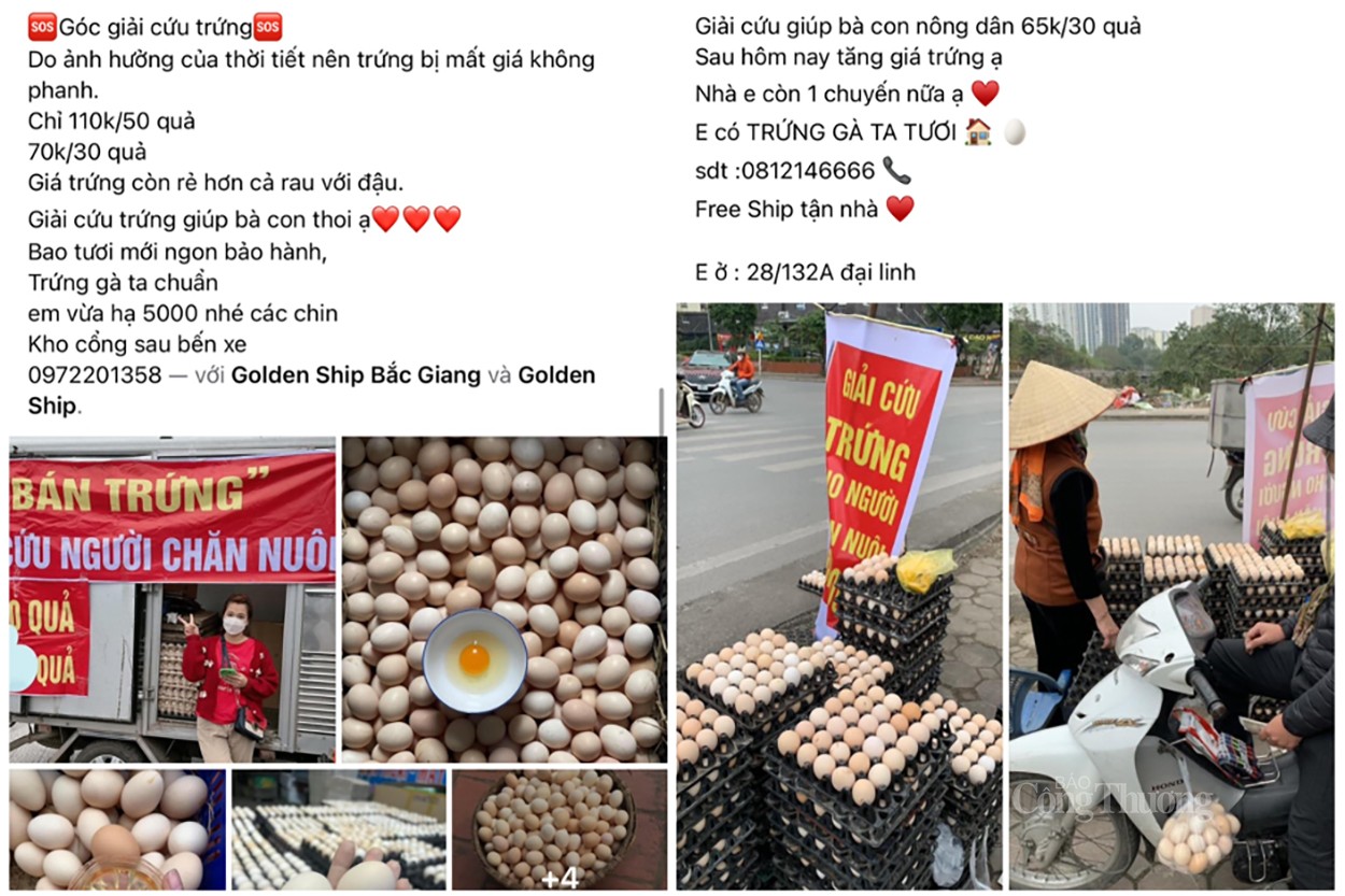 Trứng gà giải cứu 65k/30 quả: Cần 