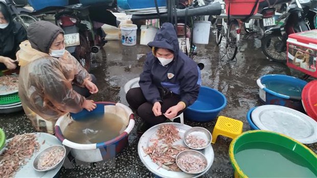 Chuyen gia keu goi Indonesia ap dung mo hinh thuy san cua Viet Nam hinh anh 1