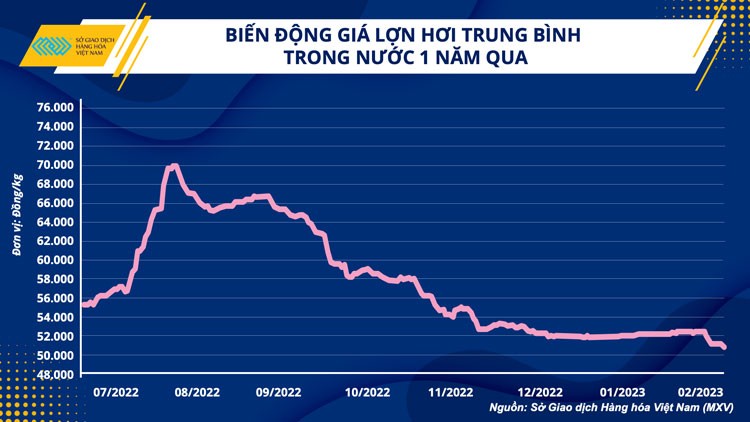 Ngành chăn nuôi và bài toán vượt khó trong quý I/2023