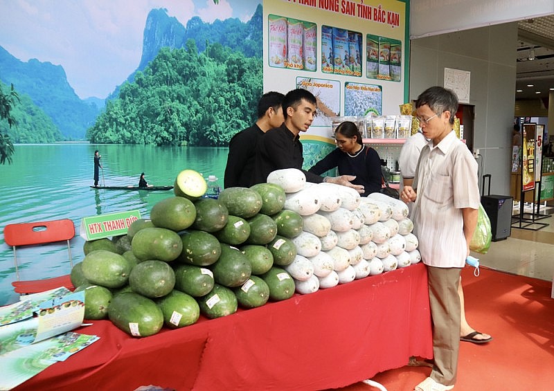 Bắc Kạn: Nâng tầm cho sản phẩm OCOP