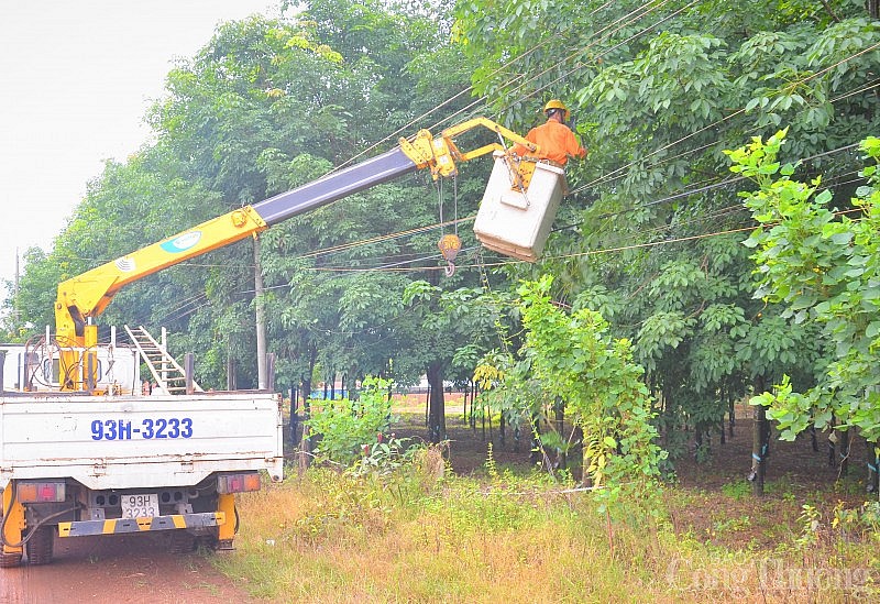 Ngành điện miền Nam: Tăng cường tuyên truyền đảm bảo an toàn hành lang lưới điện cao áp