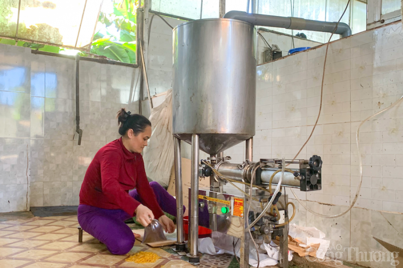 Kiếm tiền triệu mỗi ngày nhờ chế biến gia vị cho đặc sản Gia Lai Kiếm tiền triệu mỗi ngày nhờ chế biến gia vị cho đặc sản Gia Lai