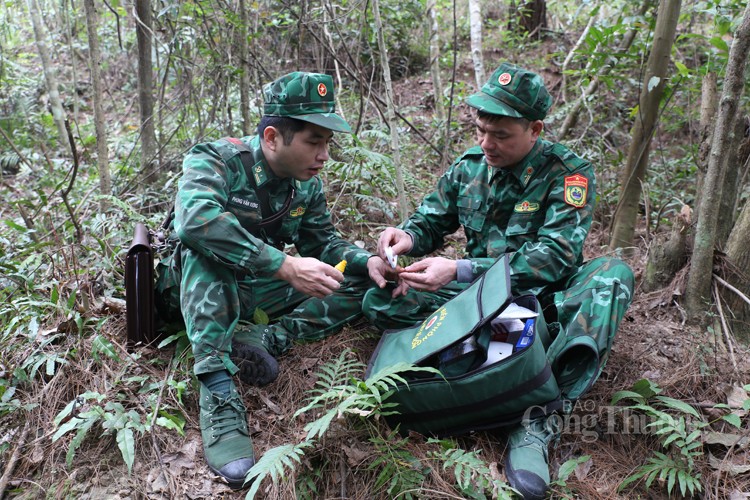 Tự hào những thầy thuốc mang quân hàm xanh miền biên viễn