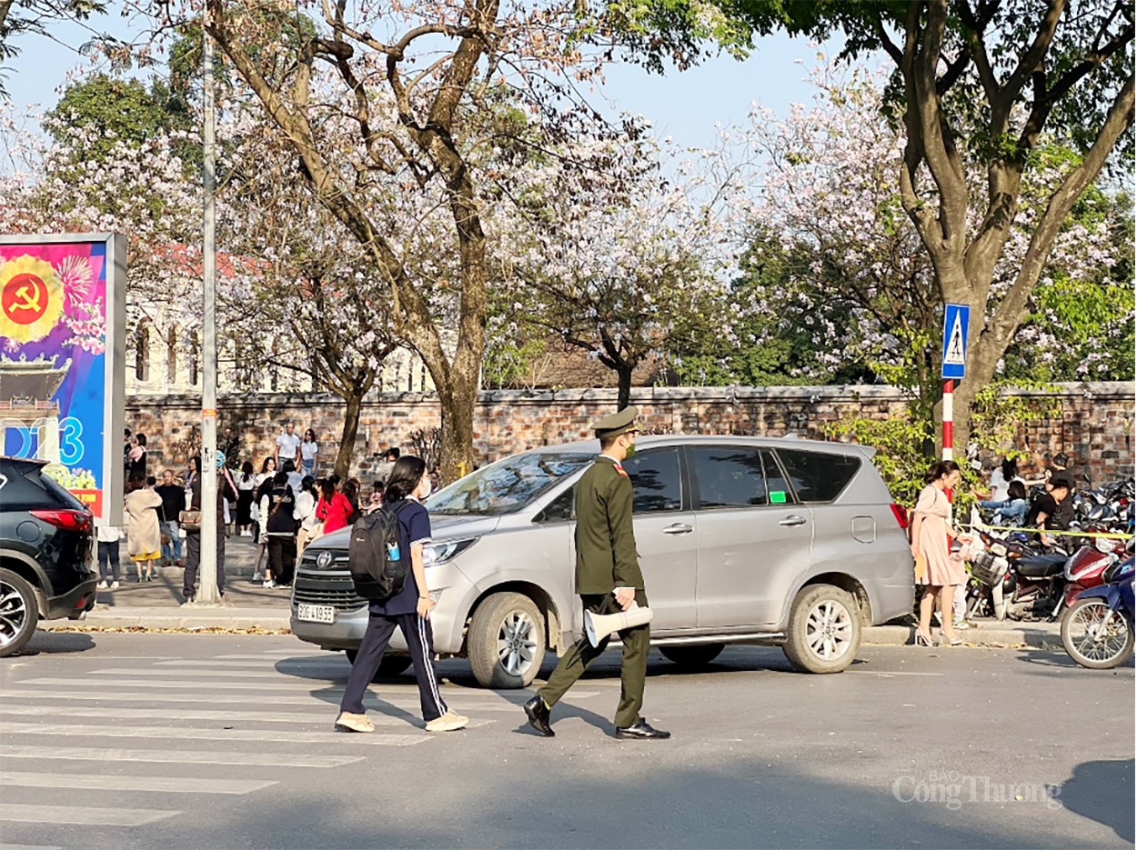 Sắc trắng hoa ban làm “nao lòng” người dân Hà Nội