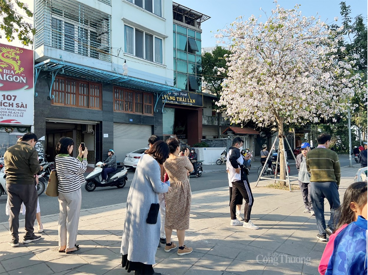 Sắc trắng hoa ban làm “nao lòng” người dân Hà Nội Sắc trắng hoa ban làm “nao lòng” người dân Hà Nội