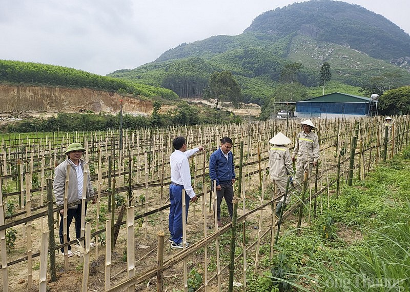 Bài 1: Trồng dược liệu quý giúp đồng bào phát triển kinh tế