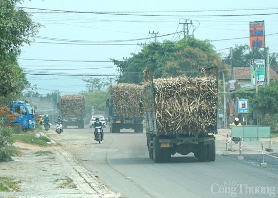 Gia Lai: Xe chở mía quá khổ vẫn nóng trên tuyến quốc lộ