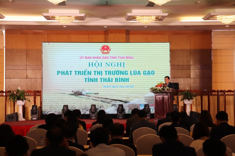 Phát triển thương hiệu lúa, gạo Thái Bình hiệu quả, bền vững