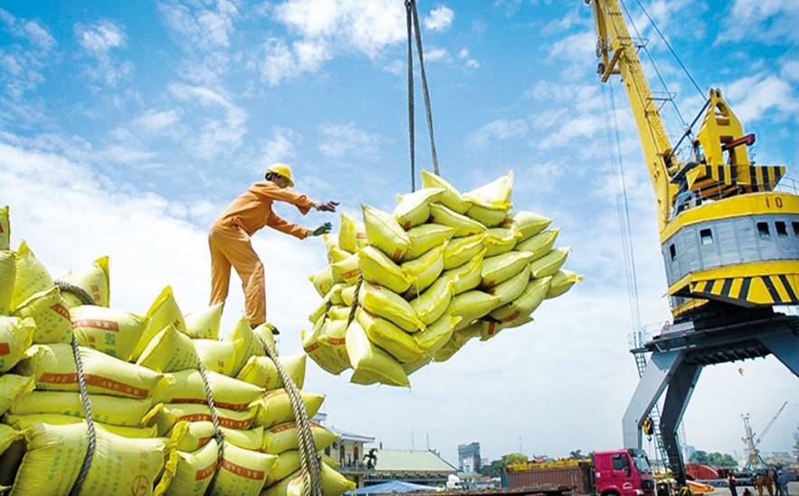 Xuất khẩu gạo có tín hiệu vui