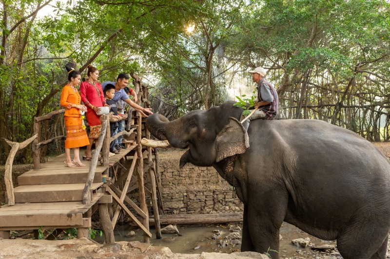 Du khách hưởng ứng chiến dịch truyền thông nội bộ và du lịch “Tôi cười cùng voi, Tôi ngưng cưỡi voi” tại huyện Buôn Đôn.