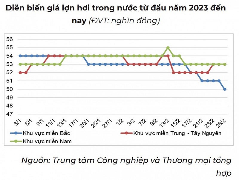 Giá heo hơi hôm nay 4/3: Giảm 1.000 đồng/kg tại một vài địa phương