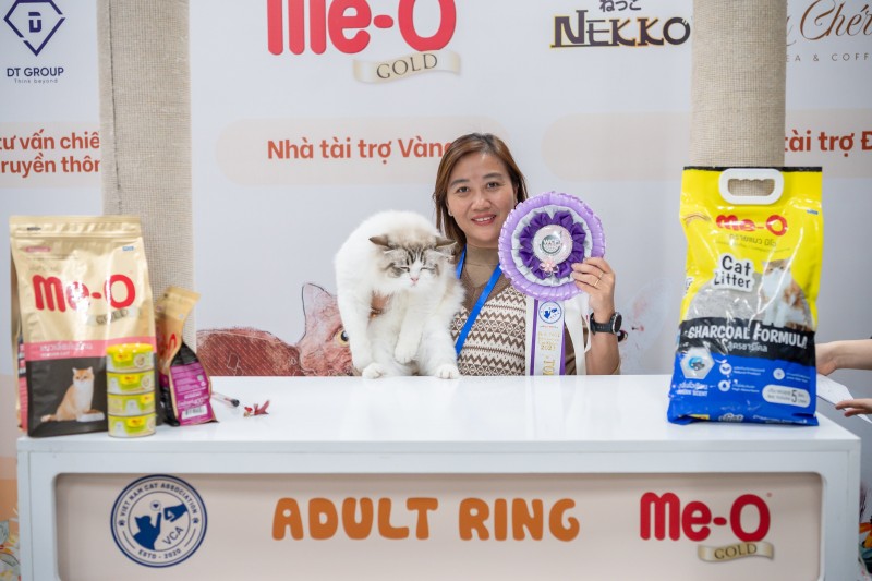 Hơn 200 bé mèo "tranh tài" tại Cuộc thi "sắc đẹp" WCF International Cat Show