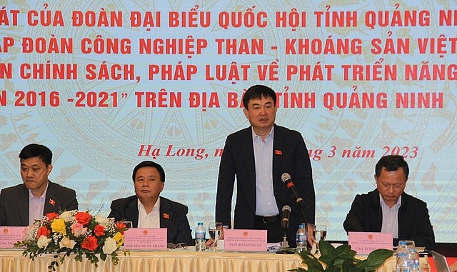 Phó Bí thư Thường trực Tỉnh ủy, Trưởng Đoàn ĐBQH Ngô Hoàng Ngân phát biểu tại buổi làm việc