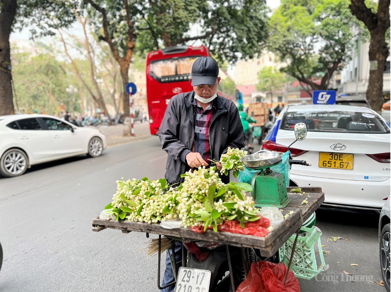 Hương bưởi đầu mùa “xao lòng” người Hà Nội