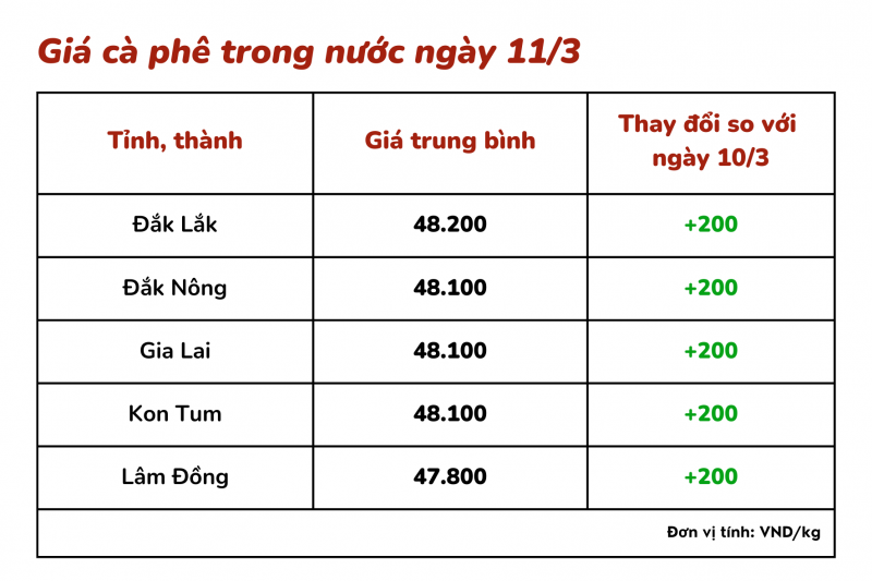 Giá cà phê hôm nay, 11/3: Giá cà phê trong nước tăng 200 đồng/kg