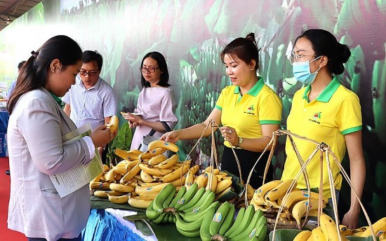 mo huong cho chuoi tuoi xuat ngoai